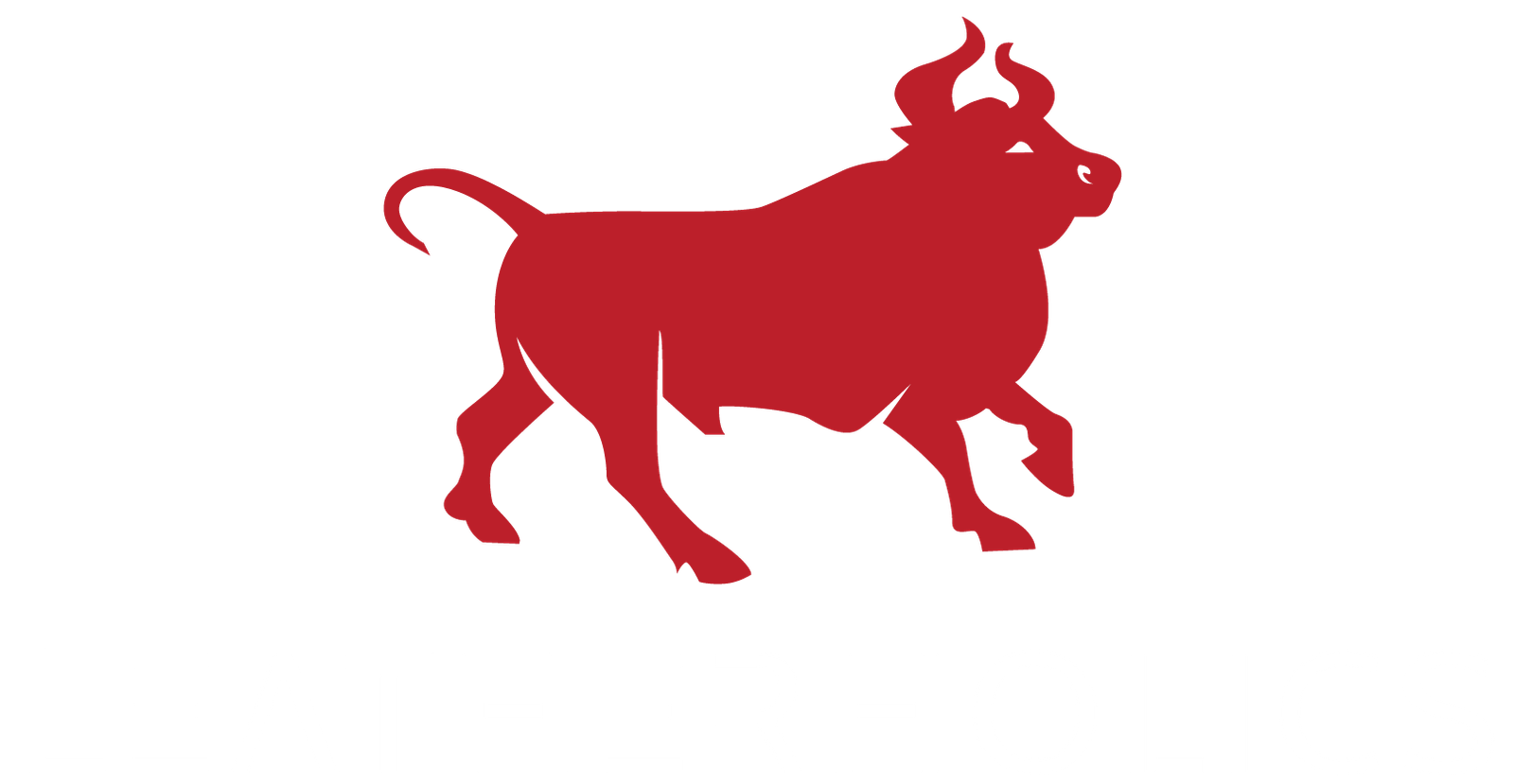logo_transp_white